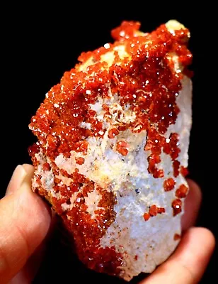 3.5  Superb Cherry Red Vanadinite Crystals On Matrix  Morocco! ! V256 • $150