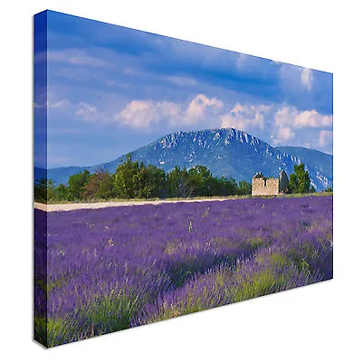 Provence France With Lavender Field Canvas Wall Art Picture Print • £21.98