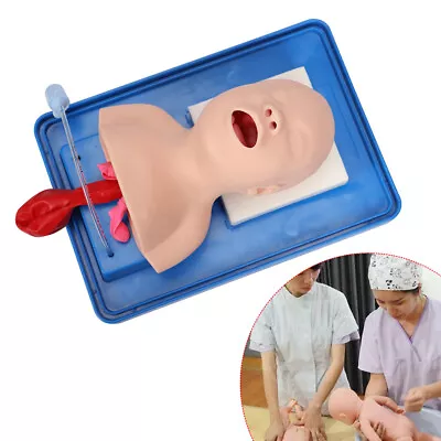 $84.55 • Buy Intubation Manikin Study Teaching Baby Model Lab Airway Management Training