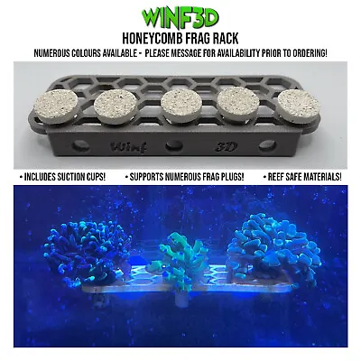 Aquarium Coral Frag Rack (140mm X 50mm) (SPS LPS ZOA) Marine / Reef Supplies • £6.95