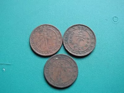 OLD   COINS  CEYLON ONE CENT 1870 1905 1910    JOBLOT ( 3)  Ref C46 • £1