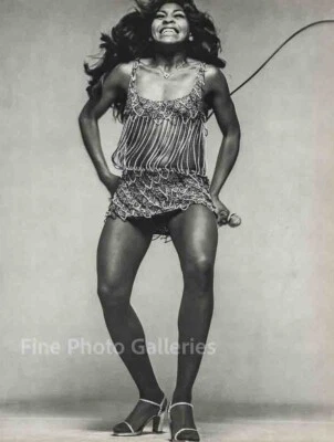 1970s Vintage TINA TURNER Music Singer By RICHARD AVEDON Large Duotone Photo Art • $238.14