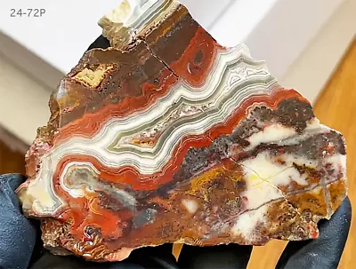 Laguna Lace Agate Slab Rough Mexico A+ Grade - 111g. - SEE THE CRAZY VIDEO! • $46.99