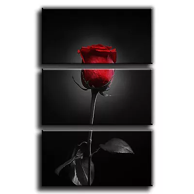 Rose Flower Floral Canvas 3 Panel Wall Art Print Picture 27 PREMIUM QUALITY • £38.49