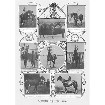 HORSE RACING Candidates For The Derby - Antique Print 1900 • £13.99