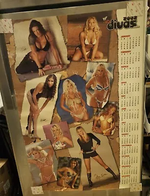 WWF/WCW Divas 2002 Calendar Poster With 10 Divas.  24x36. Rare Piece!! • $50