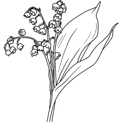 'Lily Of The Valley' Unmounted Rubber Stamp (RS038270) • £3.99
