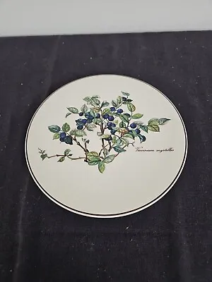 Villeroy And Boch Botanica Vaccinium Myrtillus Trivet Hot Plate • $19.99