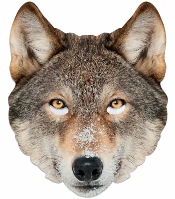 £4.29 • Buy Wolf Animal Single 2D Card Party Face Mask - Great For World Book Day Dress Up 