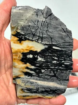 Picasso Marble (Jasper) Slab Cabbing Lapidary Utah Combo Ship Avail • $18