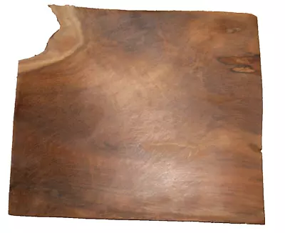 FIGURED MYRTLEWOOD SLAB TURNING CRAFTING  WOODWORKING APPROX 12.5x11x1 IN • $22