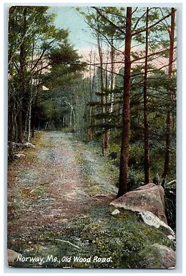 C1910's View Of Old Wood Road Tress Norway Maine ME Unposted Antique Postcard • $9.74