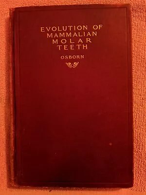 Henry Osborn EVOLUTION OF MAMMALIAN MOLAR TEETH Macmillan Company HB 1907 • $100