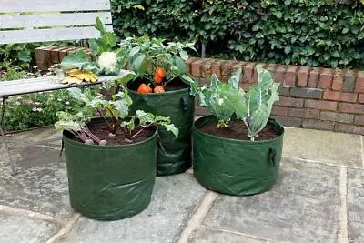 £9.95 • Buy Vegetable Planters Set 3 + Support Rings Fruit Herbs Plants Garden Patio Tub Pot