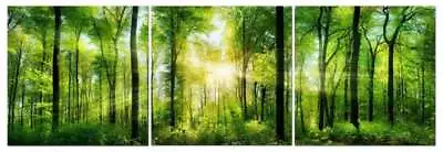 Sunlight Through The Trees 24  X 24  3 Piece Canvas Print Set • $112.95