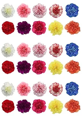 30 Mixed Carnation Flowers Edible Wafer Paper Cake Toppers Decoration • £2.49