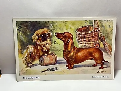 DACHSHUND Sausage Dog By M: GEAR 1950s Artist Drawn POSTCARD 17/1 • £4.75