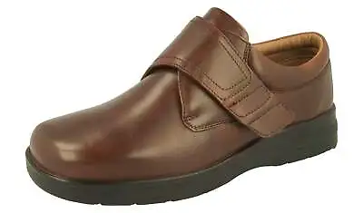 DB Shoes Benny 89212B Mens Brown Leather Touch Fastening Shoes • £80.75