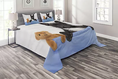 $89.99 • Buy Animal Quilted Coverlet & Pillow Shams Set, French Bulldog With Bear Print