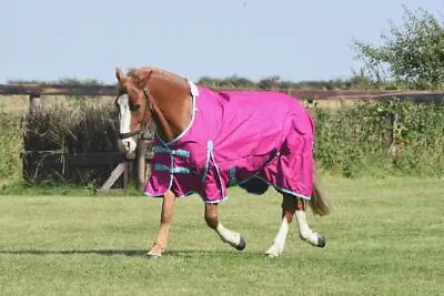 Lightweight Horse Turnout Rug No Fill Standard Neck Waterproof CLEARANCE • £36.99