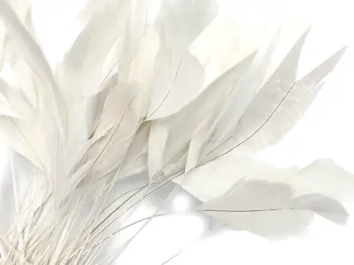 White Stripped Coque Feathers Eyelash Trim 15 Pcs 6-8  Millinery Fascinator • $7.99