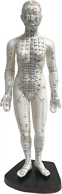 Female Acupuncture Model 19  With Chinese And English Points • $34.99