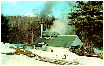 Postcard Chrome Maple Sugaring In Vermont • $4.57