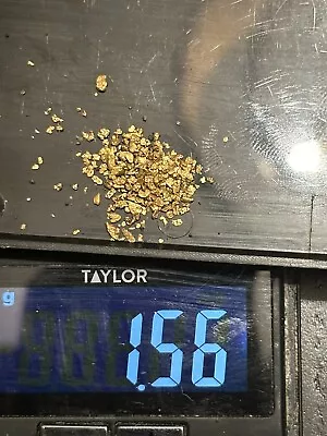 1.56 G Gram California Panned Placer Gold Nugget Lot Original Real - TCCCX • $11.50