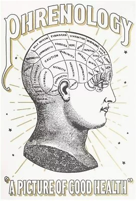 Colouring/Colour In Poster - Phrenology - Vintage Inspired - 60cm X 42cm • $19.10