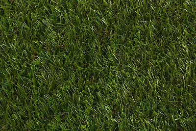 £0.99 • Buy 40mm Tampa - Budget Artificial Grass Astro Cheap Lawn Fake Turf 2m 3m 4m 5m Wide