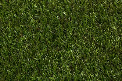 40mm Tampa - Budget Artificial Grass Astro Cheap Lawn Fake Turf 2m 3m 4m 5m Wide • £0.99