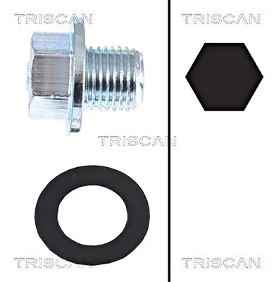 TRISCAN Oil Pan Screw Plug For BMW DAIHATSU FORD INFINITI MINI 77-18 11128-01M0B • $5.14