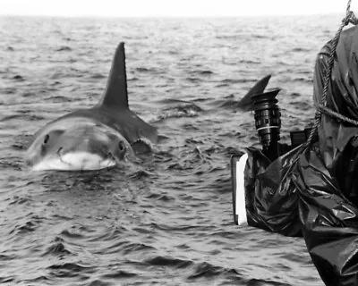 £14.50 • Buy JAWS Movie Camera Filming Bruce The Shark From Classic 1974 Movie 8x10 Photo