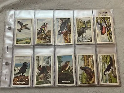 COMPLETE SET - GALLAHER 1937 - BRITISH BIRDS Cards In Near MINT Condition • £49.99