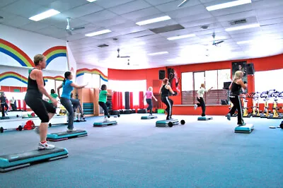 Learn Step Aerobics DVD Fitness Health Flexibility Back Exercise Free P&p • £2.35