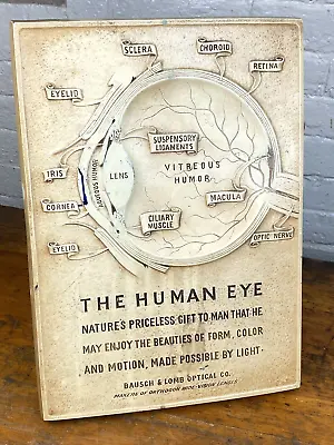 Vintage Signage Display  The HUMAN EYE  BAUSCH & LOMB Advertising Optometrist • $89