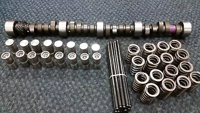 1967 - 1969 Dz Mo 302 Cam /lifter/spring Kit( Mech Camshaft Genuine Gm Lifters) • $1195