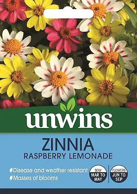 Unwins Pictorial Packet - Zinnia Raspberry Lemonade - 20 Seeds • £5.29