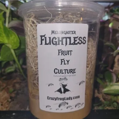 Flightless Fruit Fly Culture 32oz Live Dart Frog Food Reptile Food Live Insects • $8.99