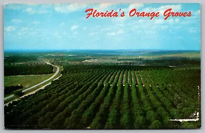 Florida Orange Groves Tropical Fruit Farm Birds Eye View Citrus Tower Postcard • $12