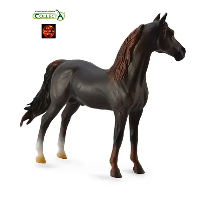£11.99 • Buy Morgan Dark Liver Chestnut Stallion Horse Toy Model Figure By CollectA 88647 New