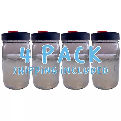 Sterile Liquid Culture Jar Mushroom Liquid Culture Solution 4 Pack • $50