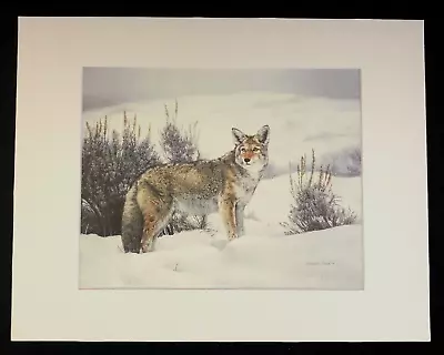 Charles Frace'   SOLITUDE  11 X 14 Matted Coyote Wildlife Print • $25.99