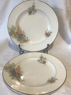 Washington Pottery Hanley Vintage 2 X Salad Plates With Rabbits 🐇  • £15