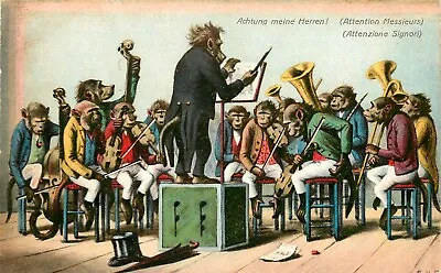 Vintage Postcard 1150 Dressed Monkey Orchestra A/S E.V.M. Achtung Meine Herren! • $19.49