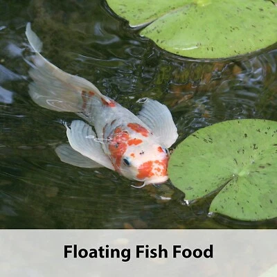 $24.18 • Buy Kaytee Koi's Choice Koi Floating Fish Food, 10 Pound New