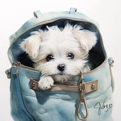 Watercolor Maltese In A Purse Painting Art Print 8x11 Inch • $15.99