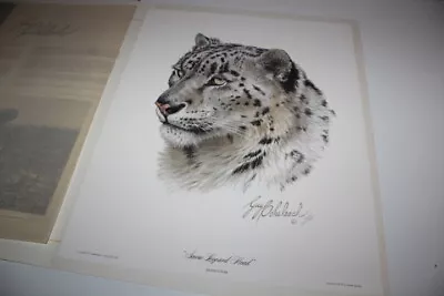 Vintage Regency House Guy Coheleach Signed Print Snow Leopard Head  • $125