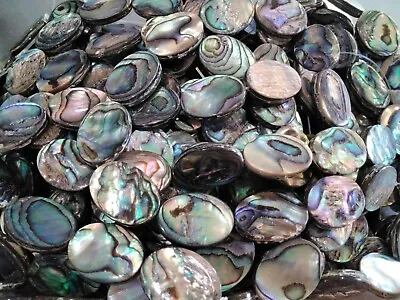 Natural Abalone/Paua Shell Flat Oval Grade AA 18x13x3-4mm Approx  22 Pce • £19.35