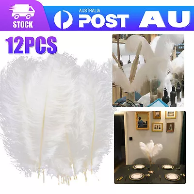 BULK Goose Ostrich Feathers Costume Wedding Party Decorations White  M • $9.99
